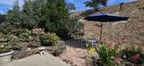 10065 Westbrook Drive - Photo 4