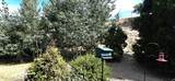 10065 Westbrook Drive - Photo 5