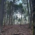 123 Rogue Riffle Drive - Photo 1