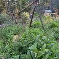 123 Rogue Riffle Drive - Photo 6