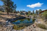 62262 Chickadee Lane - Photo 43