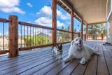 62262 Chickadee Lane - Photo 45