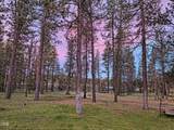 9045 Ground Squirrel Drive - Photo 11