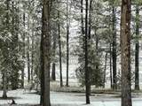 9045 Ground Squirrel Drive - Photo 15