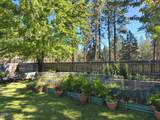 9045 Ground Squirrel Drive - Photo 5