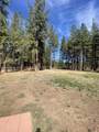 34423 Castle Drive - Photo 36