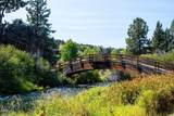20361 Rock Canyon Road - Photo 54