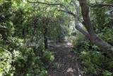 121 Elk Street - Photo 30