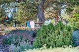 17555 Mountain View Road - Photo 10