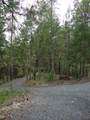 36510 Ditch Creek Road - Photo 10