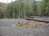 36510 Ditch Creek Road - Photo 12