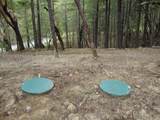 36510 Ditch Creek Road - Photo 5