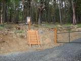36510 Ditch Creek Road - Photo 8