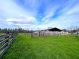 620 Dick George Road - Photo 115