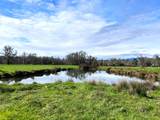 620 Dick George Road - Photo 64