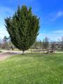 620 Dick George Road - Photo 83