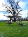 620 Dick George Road - Photo 90