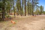 16319 Black Tail Lane - Photo 11