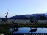 0 Derricks Cave Road - Photo 4