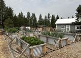 23615 Bliss Road - Photo 4