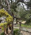 23615 Bliss Road - Photo 45