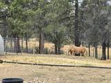 23615 Bliss Road - Photo 64