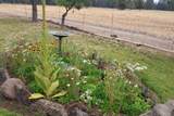 23615 Bliss Road - Photo 73