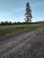 23615 Bliss Road - Photo 85