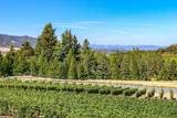 15 Vineyard View Circle - Photo 81