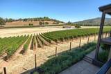 15 Vineyard View Circle - Photo 88