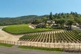 15 Vineyard View Circle - Photo 90
