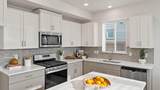 21244 Pelee Drive - Photo 3