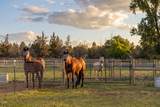 22333 Nelson Road - Photo 4