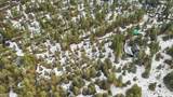 63313 Silverado Drive - Photo 29