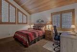 70335 Sword Fern - Photo 15