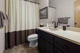 70335 Sword Fern - Photo 20