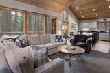 70335 Sword Fern - Photo 4