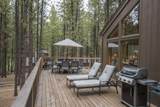 70335 Sword Fern - Photo 5