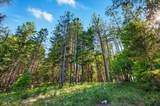 16445 Meadows Road - Photo 59