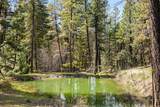 44765 Alder Creek Road - Photo 34