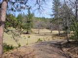 1525 Baldy Creek Road - Photo 21
