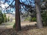 1525 Baldy Creek Road - Photo 24