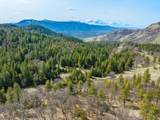 1525 Baldy Creek Road - Photo 4