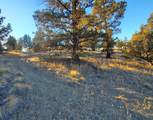 20845 Pony Avenue - Photo 13