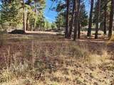  Pine Ridge Road - Photo 4