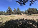 15534 Fishhole Creek Road - Photo 30