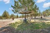 11518 View Top Lane - Photo 42