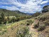 2231 Humbug Creek Road - Photo 5