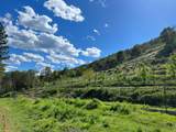 2231 Humbug Creek Road - Photo 6