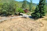 2231 Humbug Creek Road - Photo 8